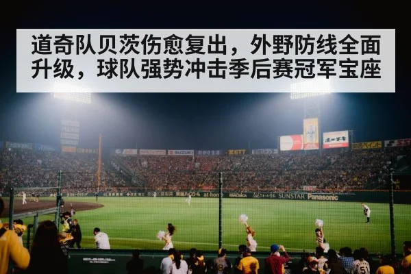 baseball stadium night game