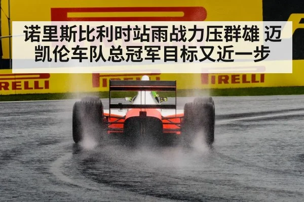Formula 1 rain race